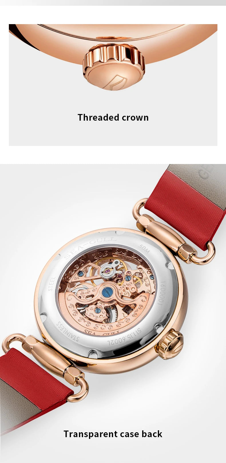 Seagull 6002L Women's Automatic Skeleton Watch – Leather Strap Waterproof