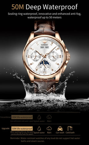OUPINKE 3189 Men's Automatic Watch – Moon Phase Leather Strap Waterproof